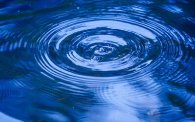 Discoverability for Asset Managers